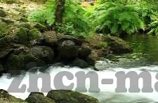 求比分足球比分-求比分足球比分，绿茵场上的数字交响曲