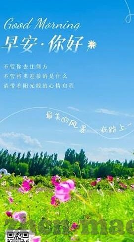 wim007足球比分-探秘WIM007足球比分，数字背后的激情与策略